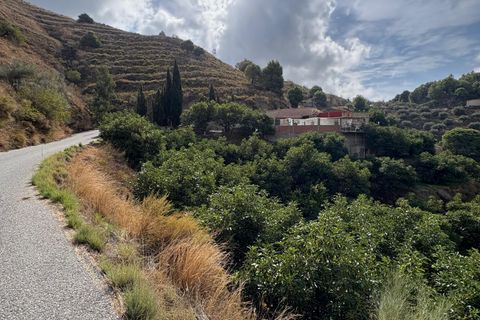 Landejendom i Almunecar, Granada, Almunecar - € 275.000 | Ref: W2999KA - foto 23
